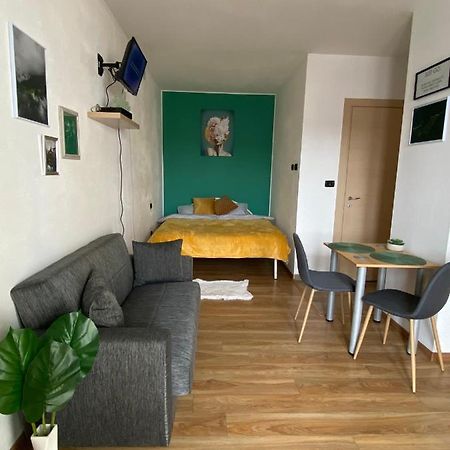 Green Studio Тимишоара Экстерьер фото