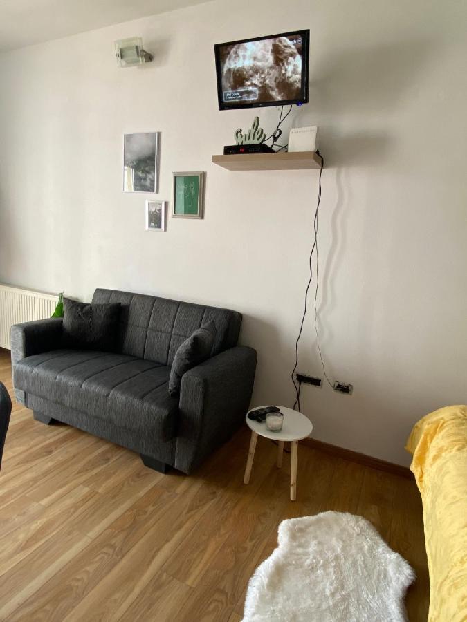 Green Studio Тимишоара Экстерьер фото