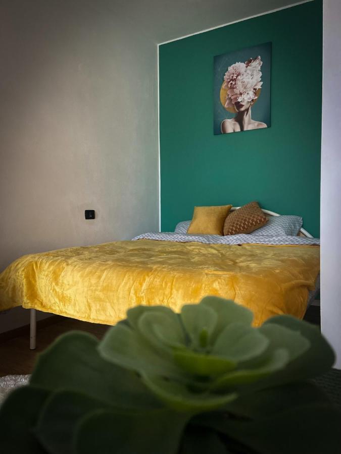 Green Studio Тимишоара Экстерьер фото